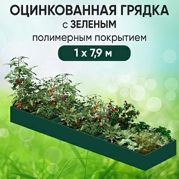Грядка зеленая (1 х 7,9)